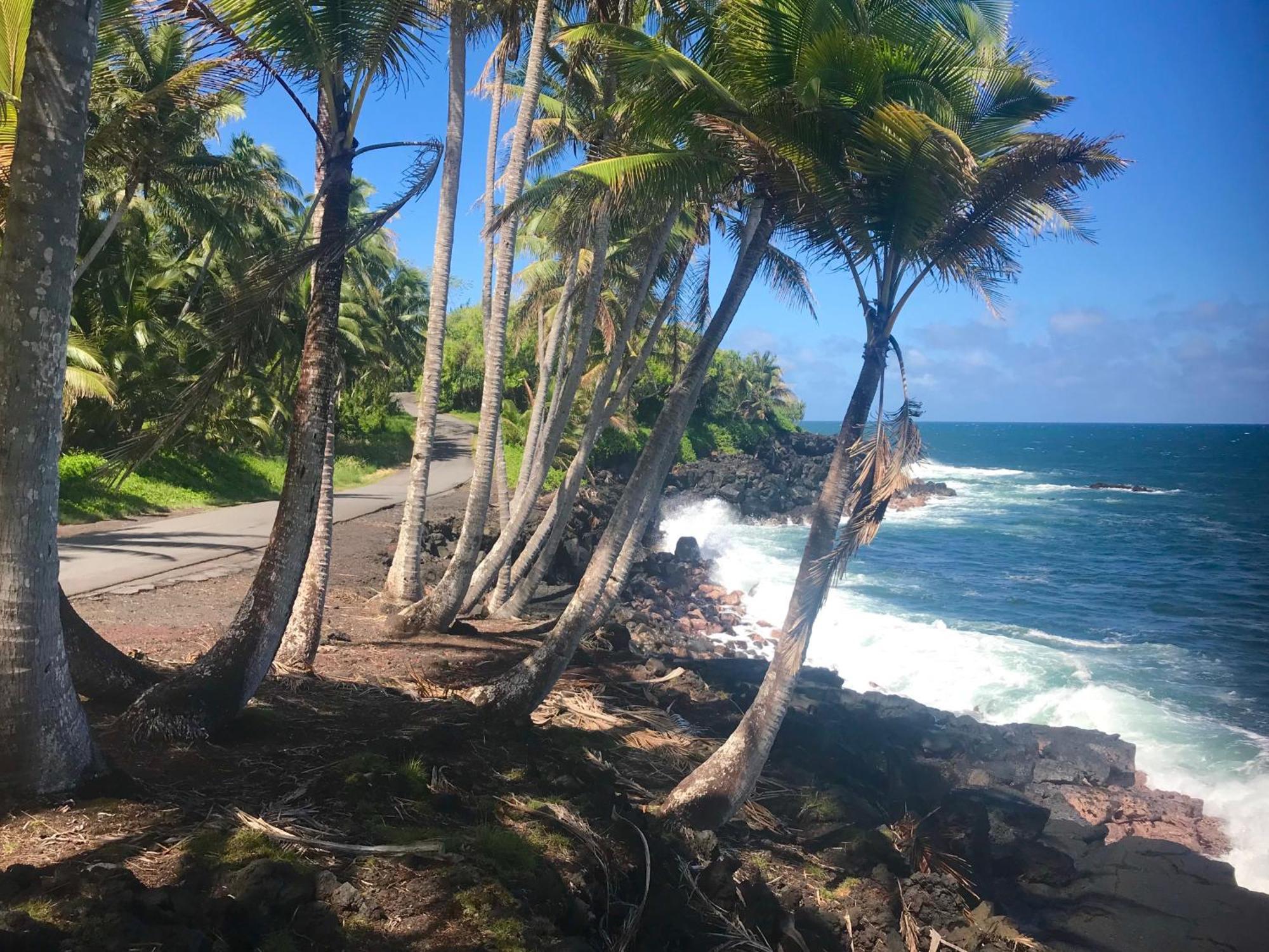 Tropical Zen Bungalow Pahoa Exteriör bild